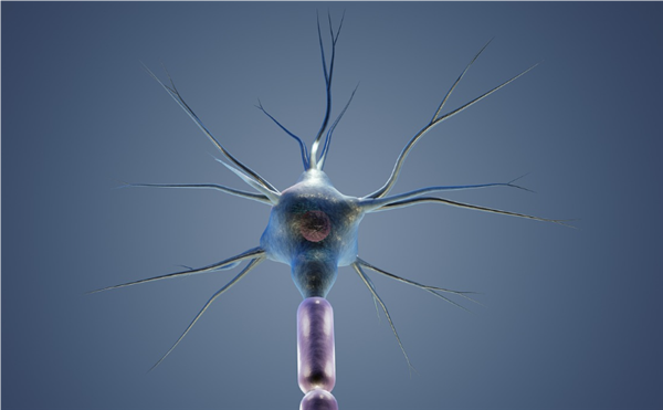 科學(xué)家馴服寄生蟲幫人類治?。嚎蓴y帶藥物進(jìn)入大腦