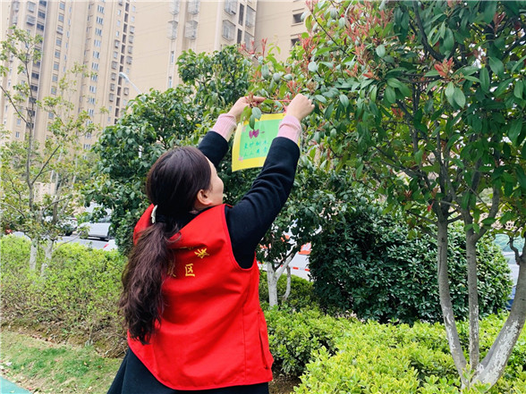 蛇盤社區(qū)黨總支： 愛(ài)綠護(hù)綠志愿行