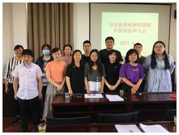 谷里街道柏樹(shù)村順利完成團(tuán)組織換屆選舉工作