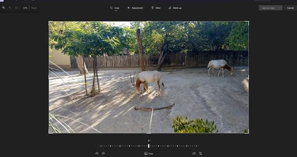 功能更強(qiáng)大！Win11照片應(yīng)用迎來更新：圖片編輯獲得重新設(shè)計(jì)