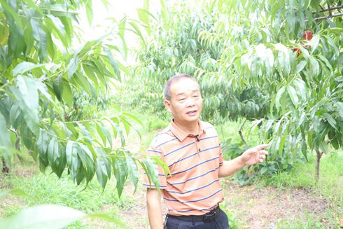 新農(nóng)社區(qū)舉辦慶六一迎端午“童言童語 快樂綻放”主題融合活動(dòng)