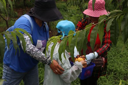 新農(nóng)社區(qū)舉辦慶六一迎端午“童言童語 快樂綻放”主題融合活動(dòng)